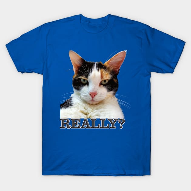 Cute Calico Cat with Attitude – Really? T-Shirt by Captain Peter Designs